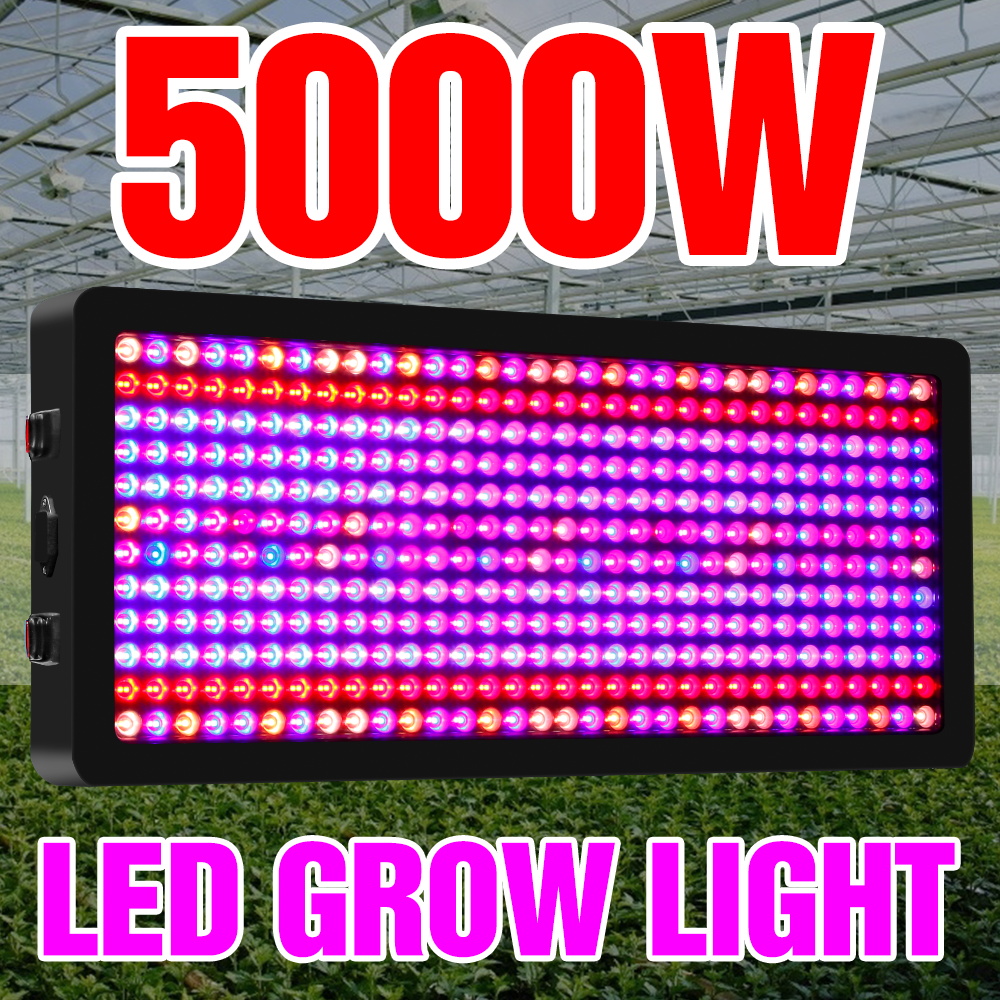 LED Ǯ Ʈ Ĺ  , 220V LED Ĺ , 20..